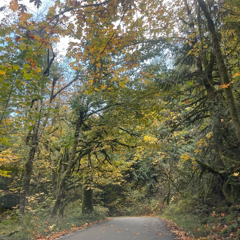 Meet your Posher, Kalynn